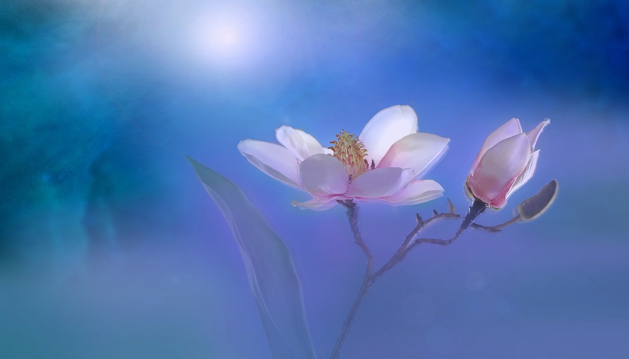 夢(mèng)境中的月經(jīng)之謎，一次心靈與生理的交織體驗(yàn)