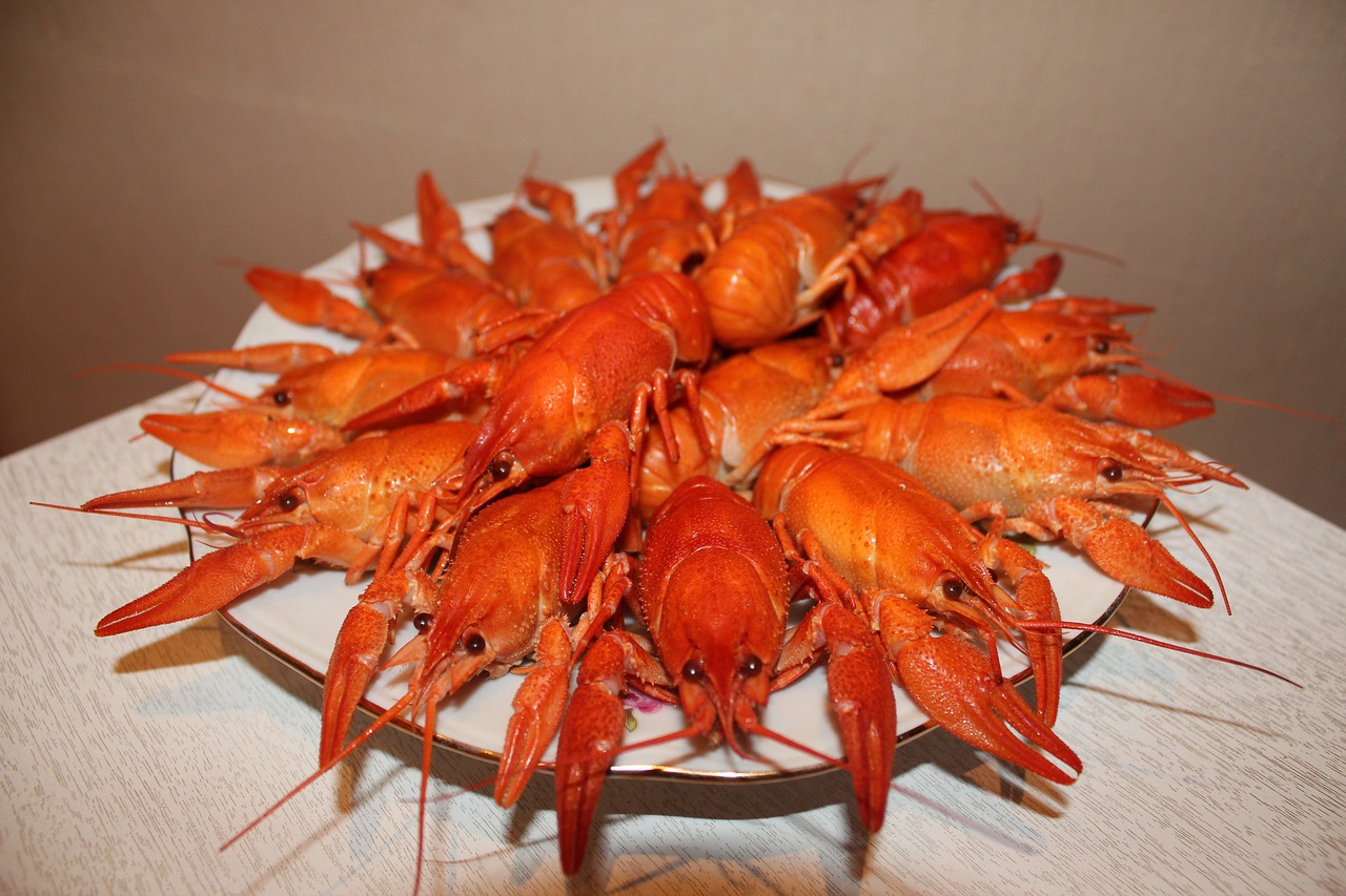 夢(mèng)中的美食之旅，一次奇妙的龍蝦盛宴