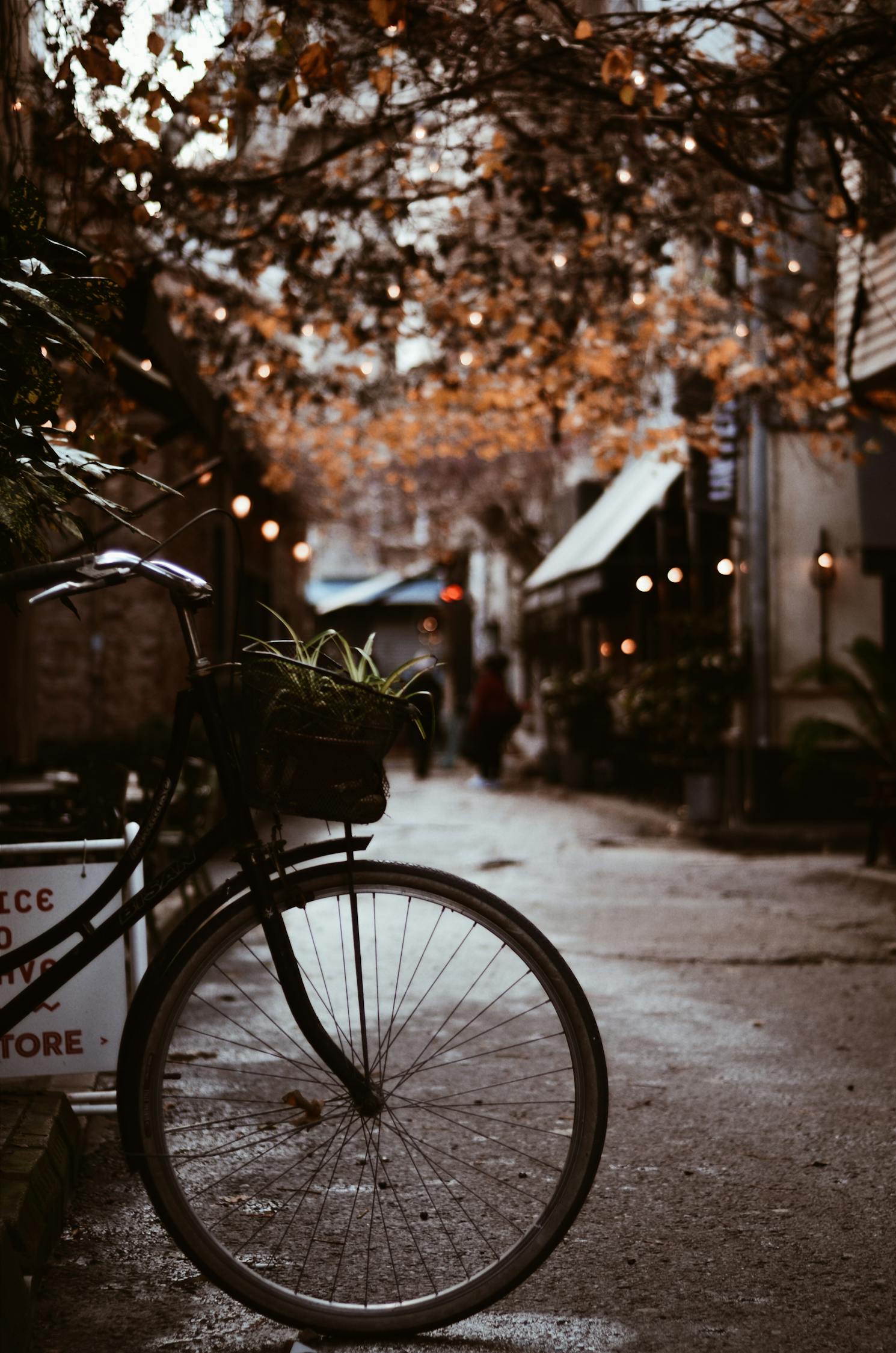 夢(mèng)中的電車之旅，一次難忘的騎行體驗(yàn)