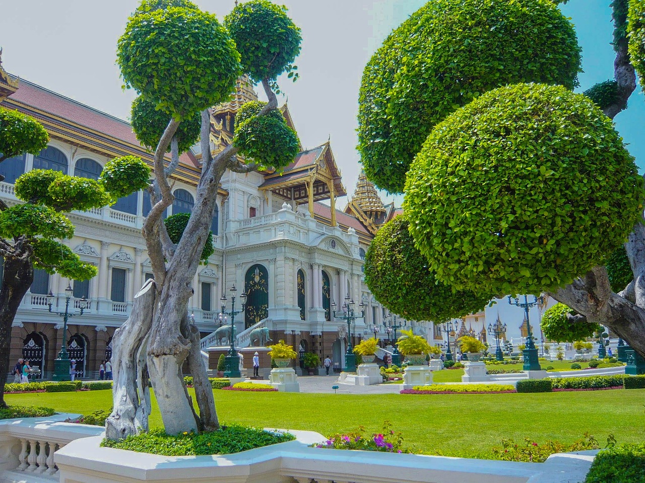 夢(mèng)中的李子樹(shù)，一段心靈的旅程