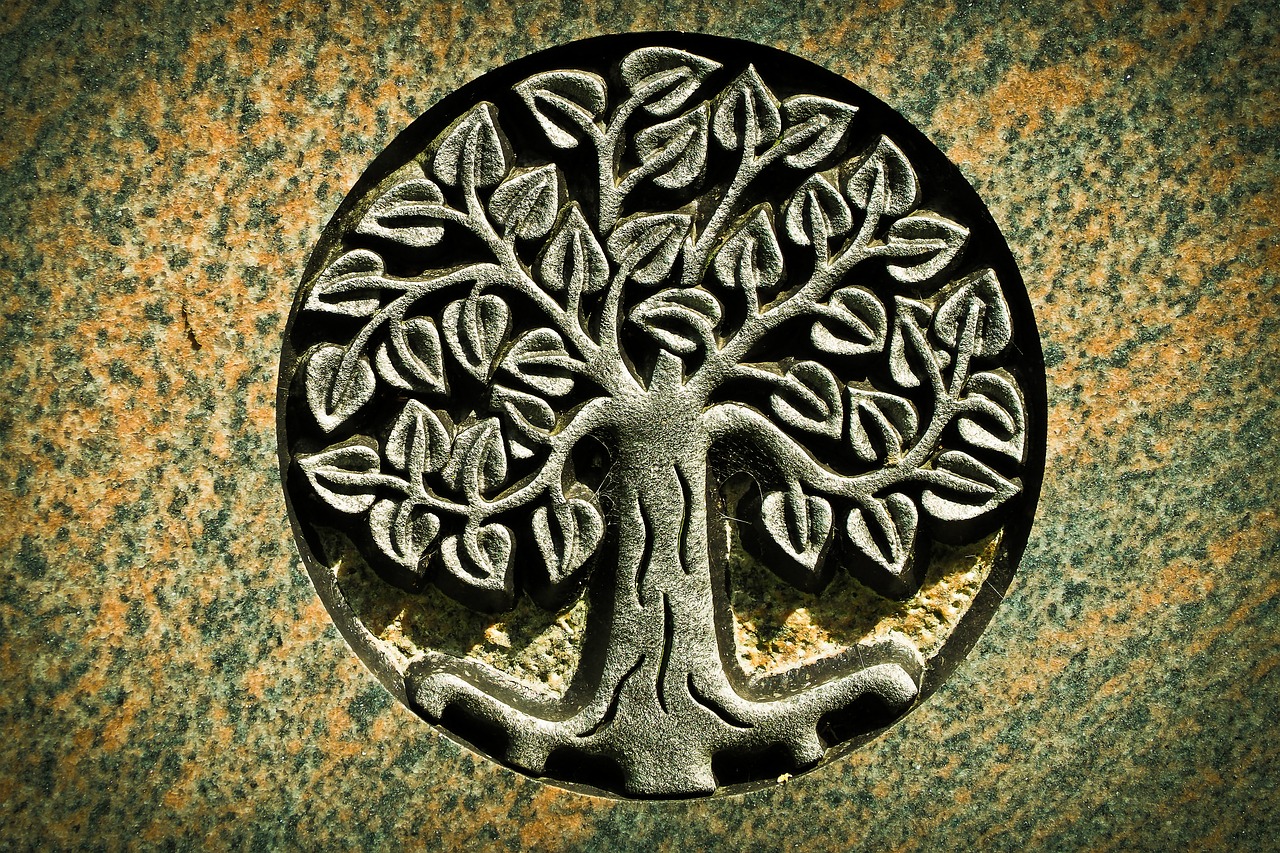 夢(mèng)到買(mǎi)墓地，對(duì)生命與未來(lái)的思考