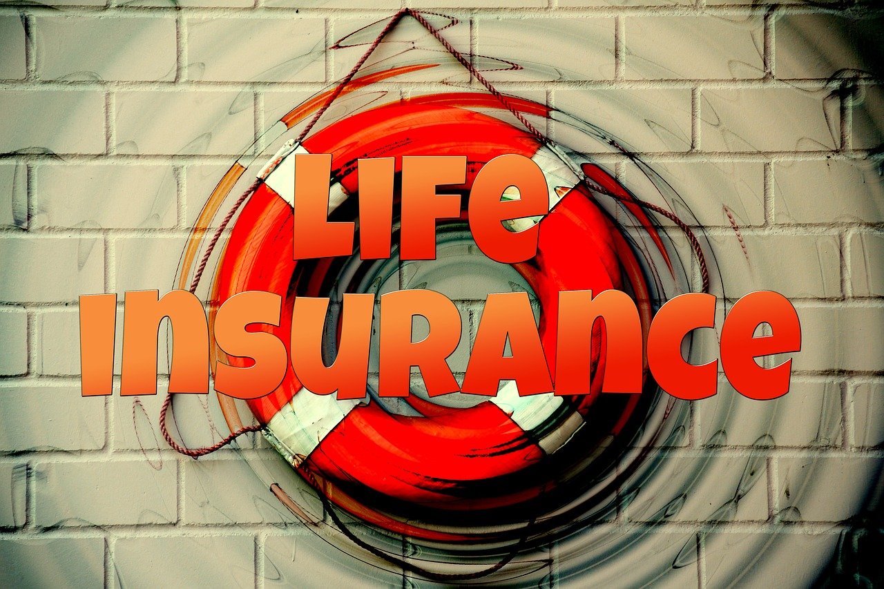 bit life，一款讓你暢享在線游戲樂趣的免費(fèi)游戲