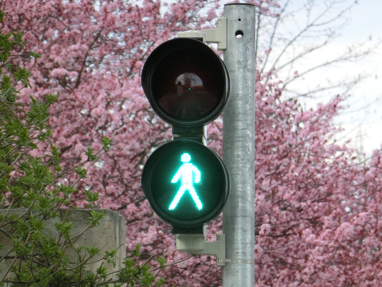 新車輪胎發(fā)黃的原因是什么？如何預(yù)防和處理這一問題？
