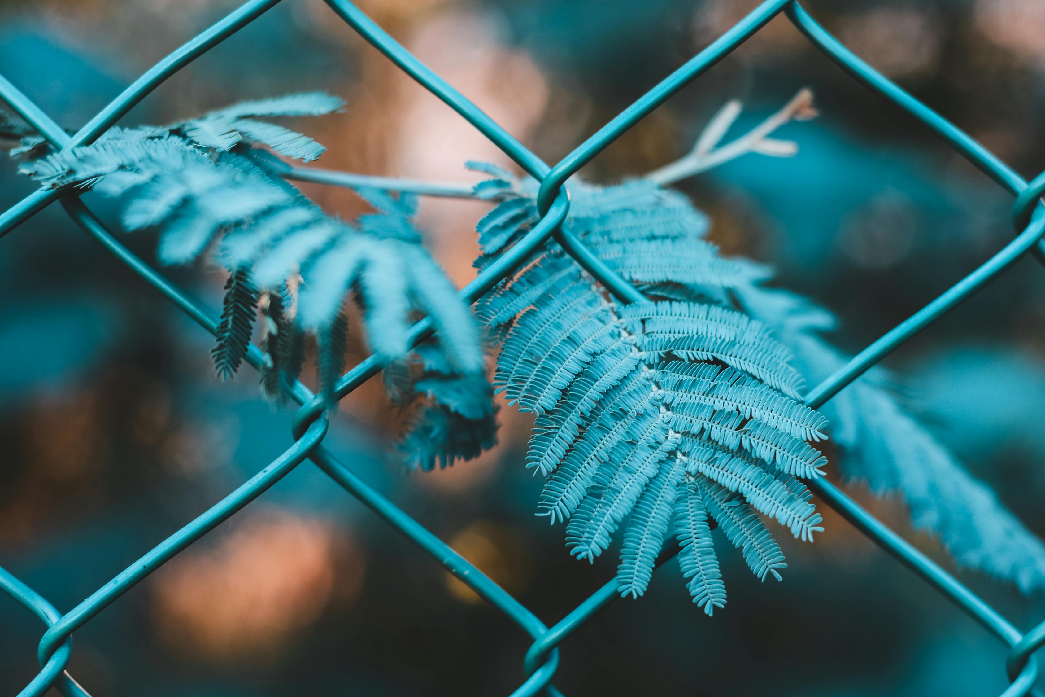 如何進(jìn)行有效的網(wǎng)站SEO優(yōu)化？
