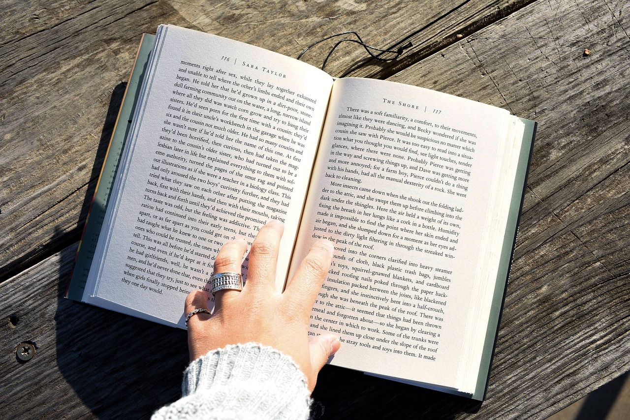 挖掘小說(shuō)網(wǎng)站流量的秘密，策略和技巧