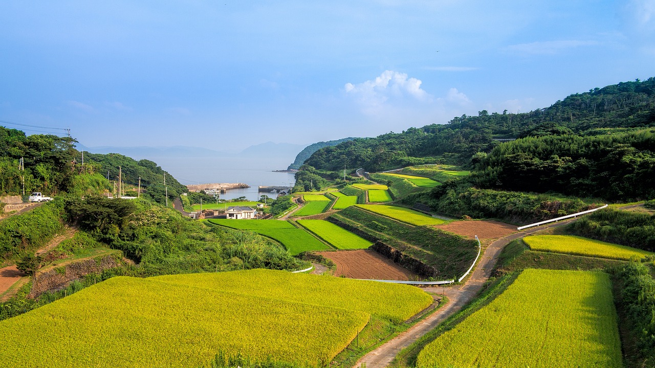 湘西網(wǎng)站流量，助力鄉(xiāng)村振興的數(shù)字引擎