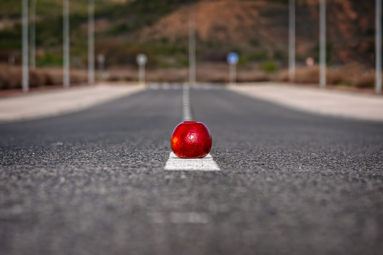 從零開始學SEO，一步步走向成功的道路