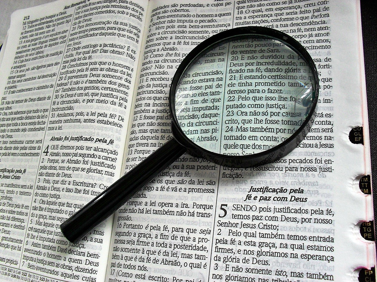 深入解析，如何使用Go語言高效搭建網(wǎng)站