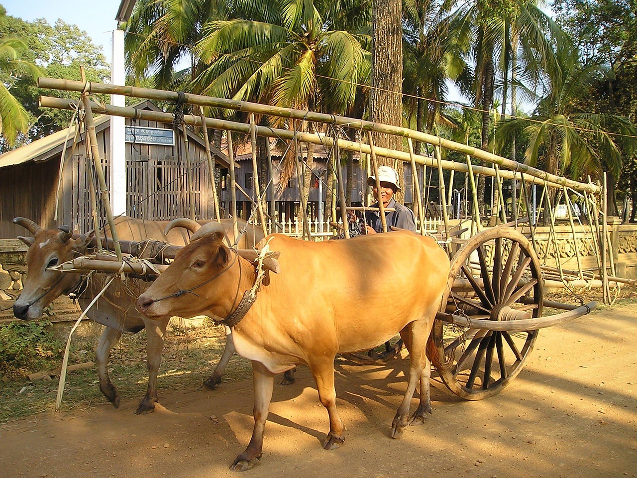 石嘴山農(nóng)產(chǎn)品網(wǎng)站搭建，助力鄉(xiāng)村振興，打造區(qū)域特色品牌