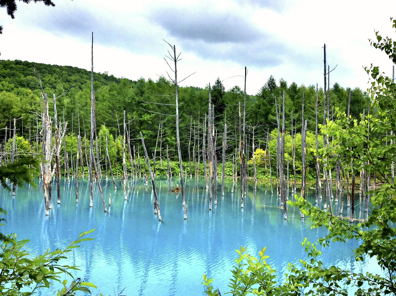 夢中邂逅，那片美麗的風(fēng)景