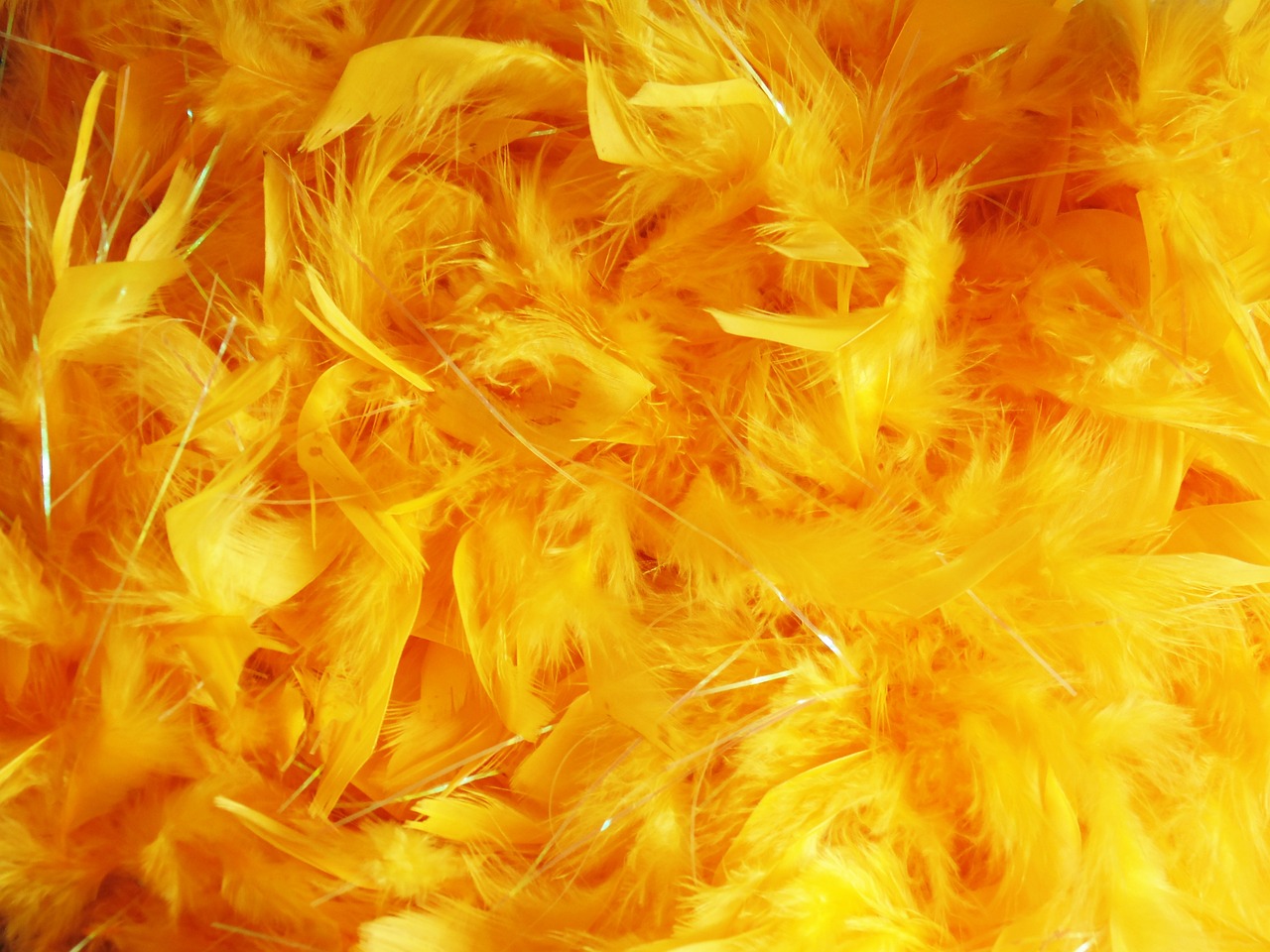 夢(mèng)中的蛇與鳥(niǎo)，神秘的象征交織