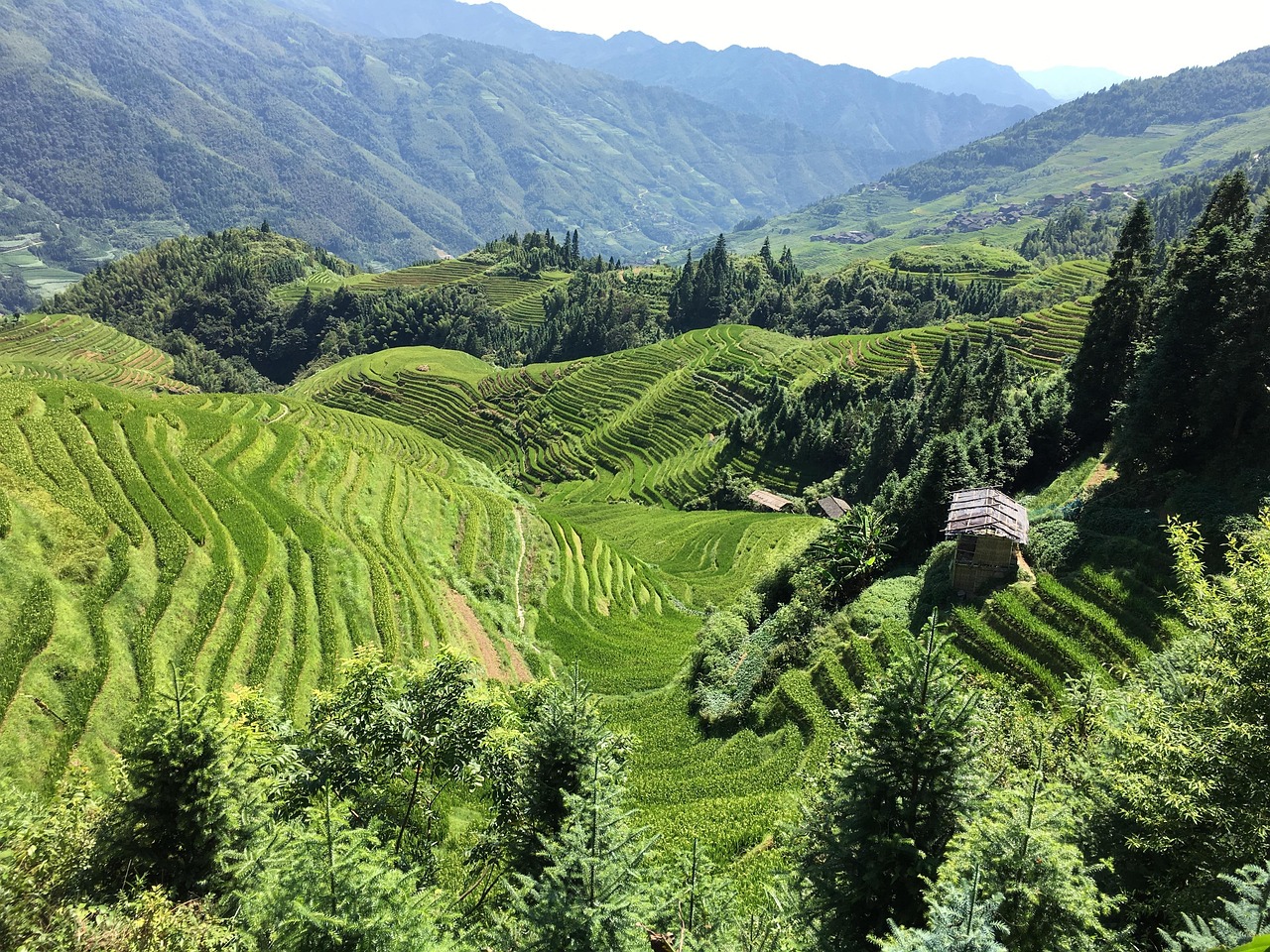 農(nóng)業(yè)新聞，綠色轉(zhuǎn)型下的中國農(nóng)業(yè)新篇章