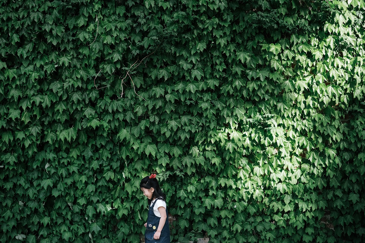 綠色未來，共筑美好—盤點近期環(huán)保新聞熱點