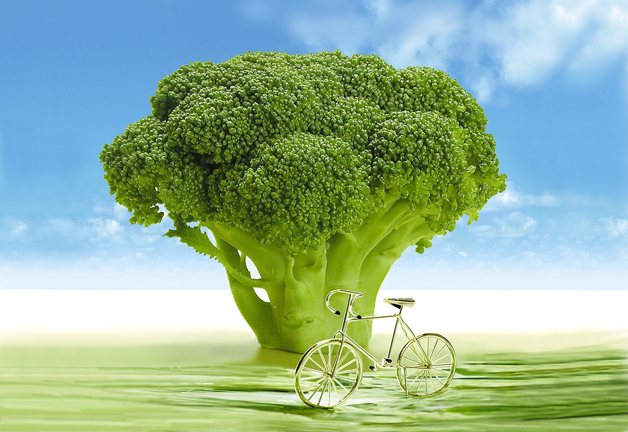 春季養(yǎng)生熱點新聞，專家支招，助您健康迎接新季