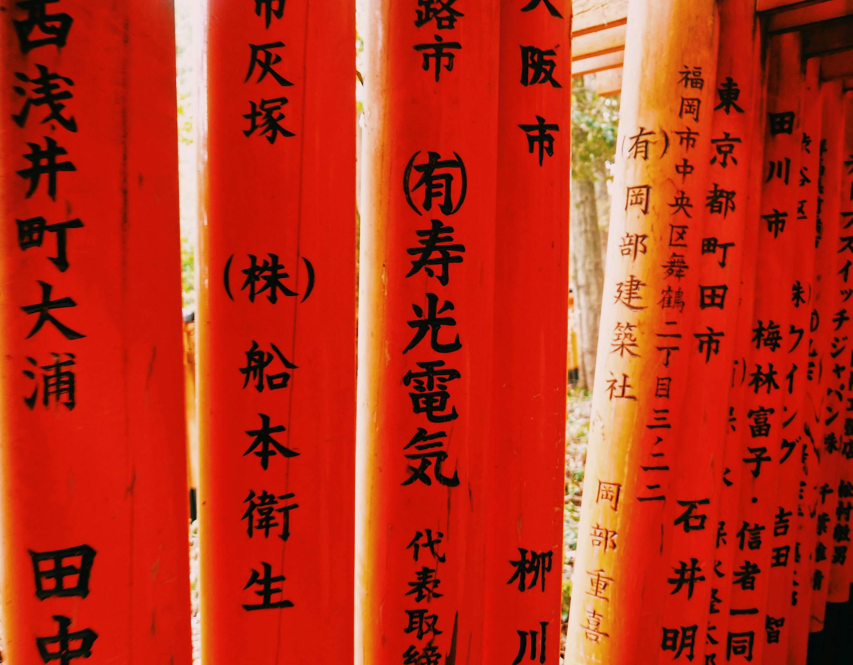 大余縣頭條，書寫壯美畫卷，傳承千年文化