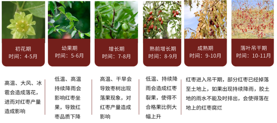 紅棗：宏觀回暖支撐，基本面改善暫有限
