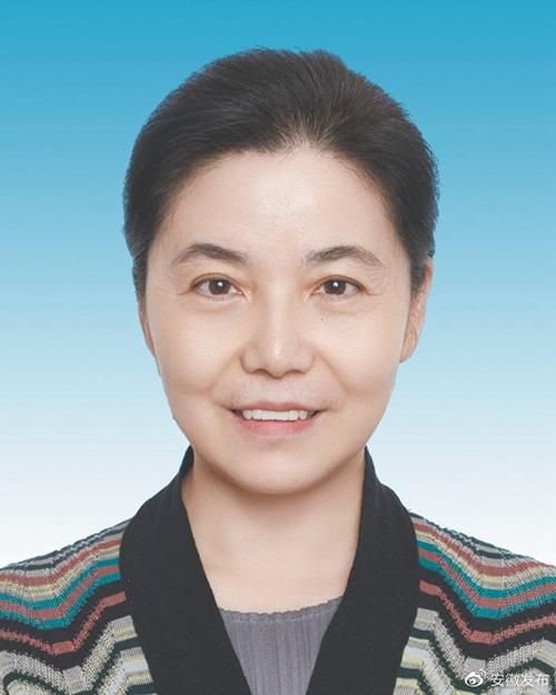 重磅！丁向群出任中國人保黨委書記