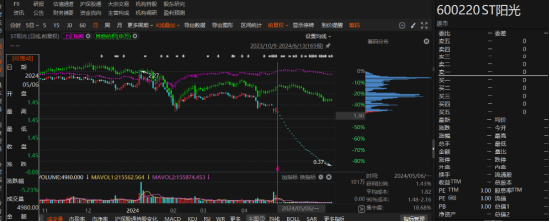 江蘇陽(yáng)光有非經(jīng)營(yíng)性資金占用和業(yè)績(jī)預(yù)告變臉！