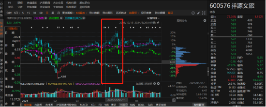 祥源文旅非經(jīng)營(yíng)性資金占用雖已歸還，但仍被出具警示函！