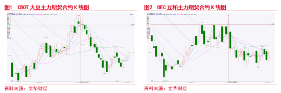 東海期貨：豆粕成本支撐邏輯增強，油強粕弱交易或逐步見頂