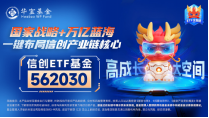 標(biāo)的指數(shù)本輪累漲超56%！AI應(yīng)用+數(shù)據(jù)要素雙催化，信創(chuàng)ETF基金（562030）盤中溢價(jià)高企，或有資金逢跌買入！