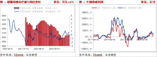 長安期貨：壓力猶在，玉米短期震蕩調整