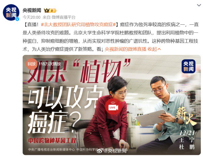 重大突破 央視重點報道！北大教授團隊研究用植物攻克癌癥