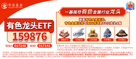 有色蓄勢高飛！有色龍頭ETF（159876）盤中逆市漲超3%！銅、金、鋁攜手上攻，北方銅業(yè)漲停封板