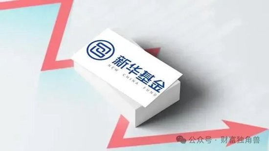 新華基金賴慶鑫在管7只基金6只虧損，高位持有國聯(lián)股份被質(zhì)疑