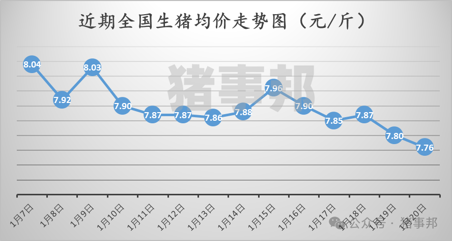 1月20日豬價匯總（多數(shù)延續(xù)跌勢?。?></p>
<p><p style=