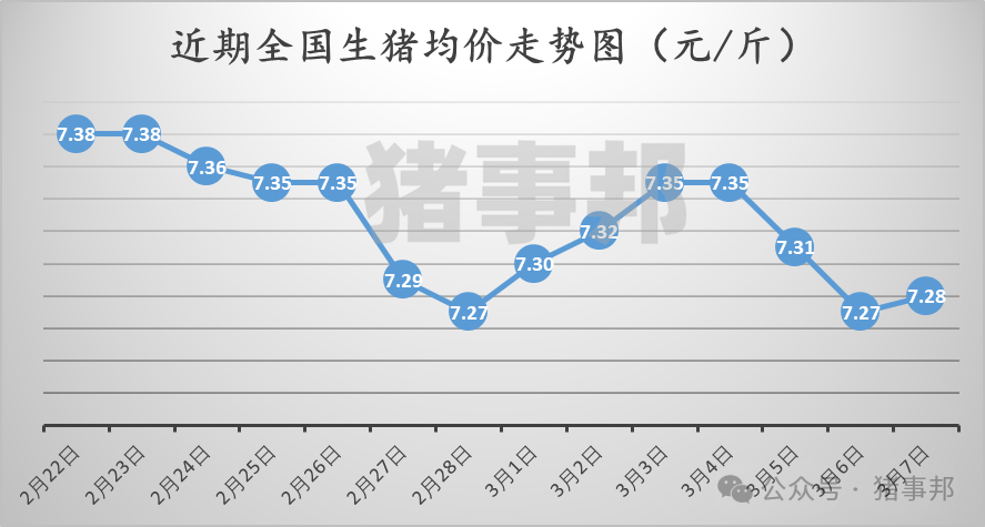 3月7日豬價匯總（北方稍強，南方稍弱！）