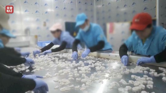 3·15晚會丨“保水蝦仁”，浮出水面！1斤蝦仁7兩冰……