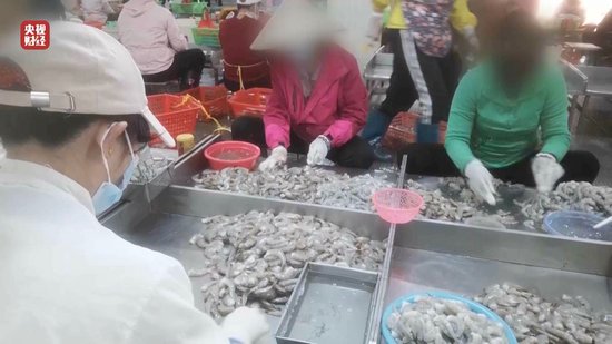 3·15晚會丨“保水蝦仁”，浮出水面！1斤蝦仁7兩冰……