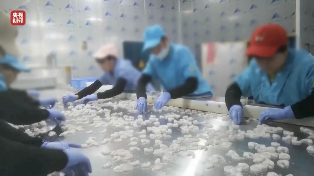查封！關(guān)停！各地多部門連夜查處3·15曝光問(wèn)題