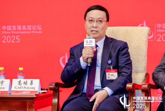 高培勇：增加地方財政的自主性，而非簡單增加地方財力
